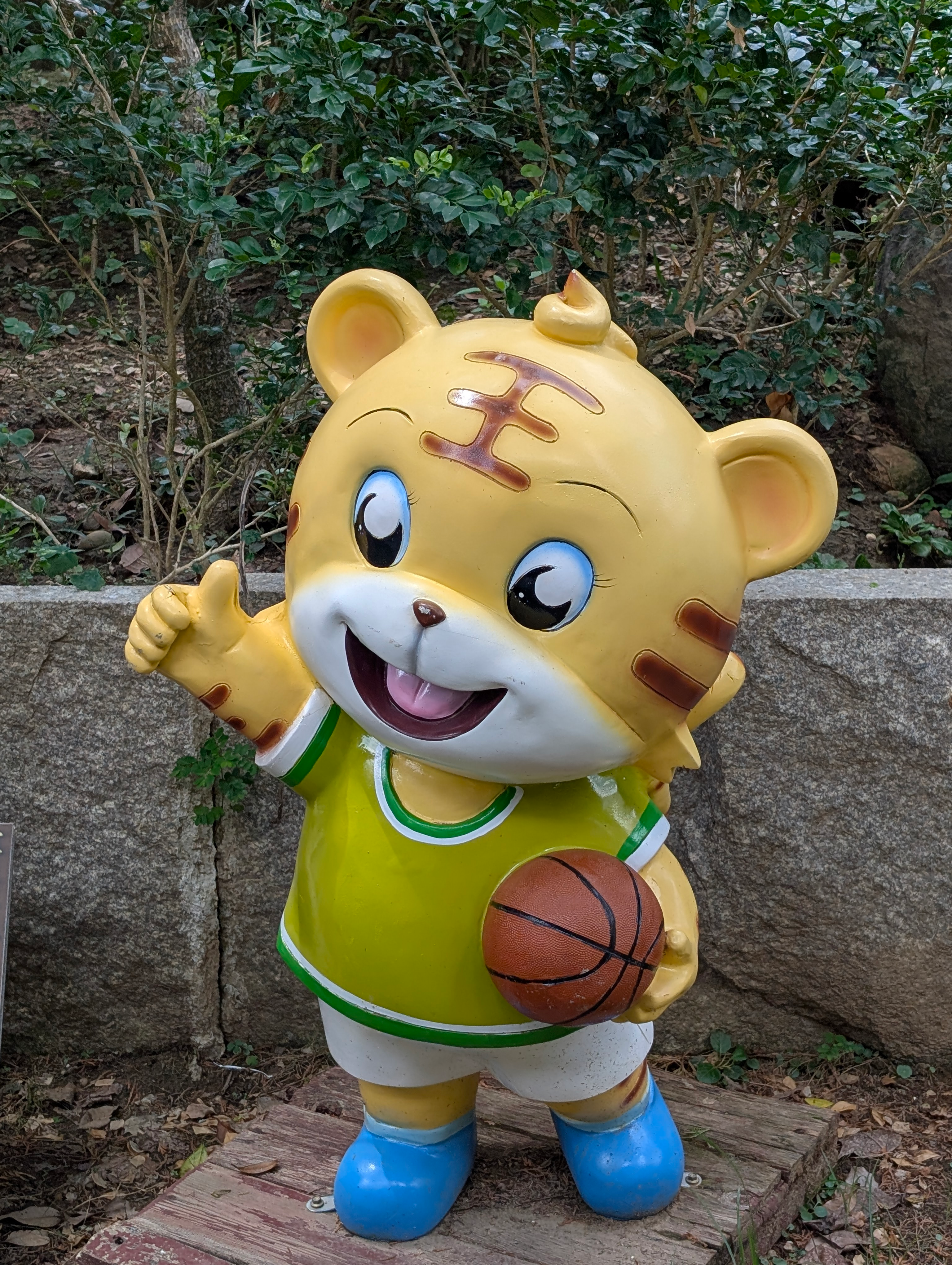../../img/first-time-went-to-tiger-temple/basketball-tiger.png